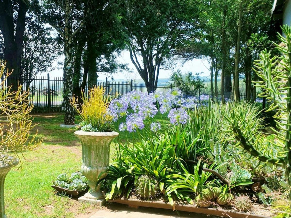 Rand Self-Catering Accommodation Carolina Extérieur photo