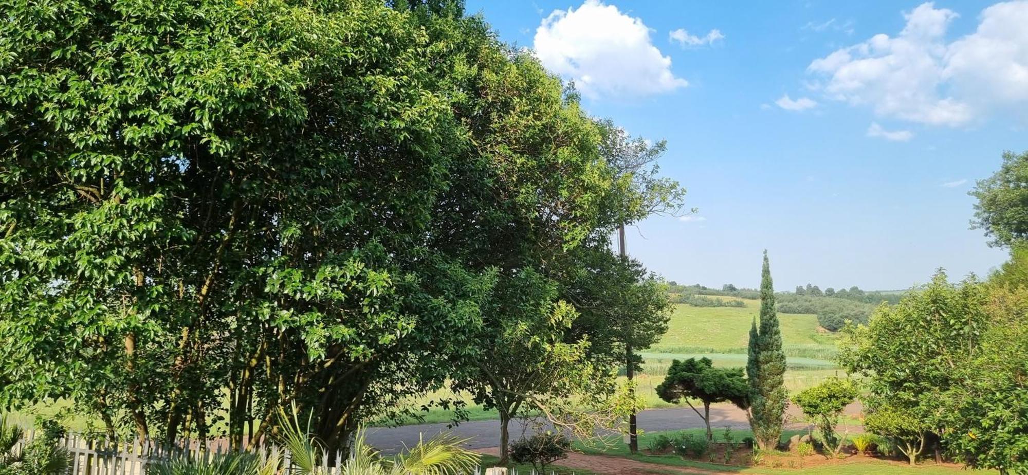 Rand Self-Catering Accommodation Carolina Extérieur photo